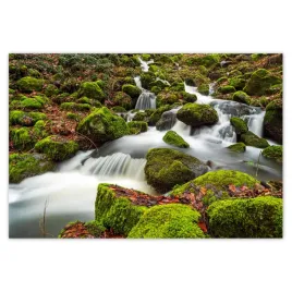 baner-200x135-gorski-pejzaz-z-rwacym-potoczkiem-potok-w-gorach