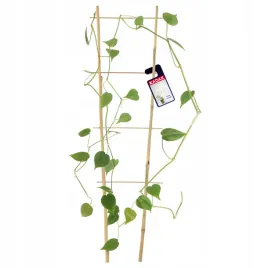 podpora-do-roslin-60-cm-drabinka-bambusowa-do-kwiatow-podporka-podwojna