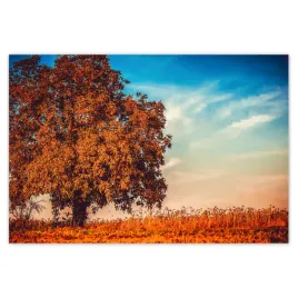 baner-185x125-jesienne-barwy-pejzaz