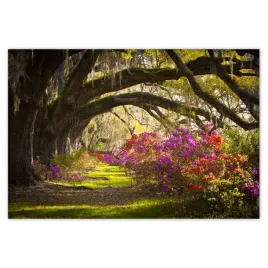 baner-185x125-kwiaty-w-parku