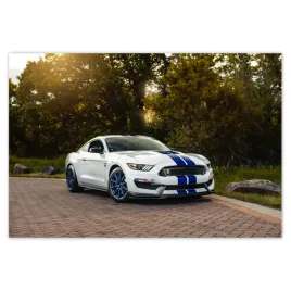 baner-185x125-sportowy-ford-mustang