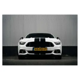 baner-155x105-ford-mustang-z-paskami
