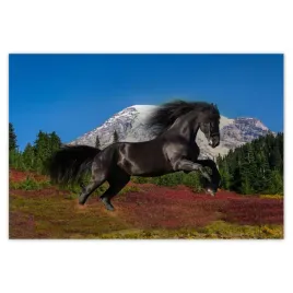 baner-185x125-ogier-fryzyjski-kon-konie
