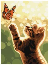 malowanie-po-numerach-kot-i-motyl-30x40cm