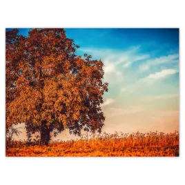 baner-135x100-jesienne-barwy-pejzaz
