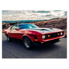 baner-135x100-mustang-mach-1-from-usa