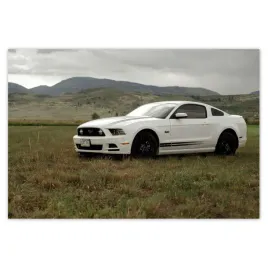 baner-185x125-bialy-ford-mustang