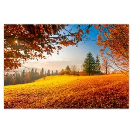 baner-185x125-jesienny-krajobraz