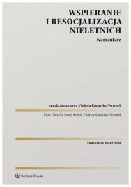 wspieranie-i-resocjalizacja-nieletnich-komentarz