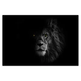 baner-120x80-lew-w-cieniu-krol