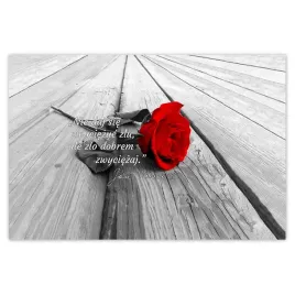 baner-120x80-cytaty-jana-pawla-2