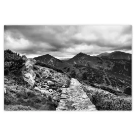 baner-120x80-tatry-polskie-gory-widok