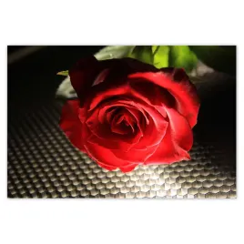 baner-120x80-ciekawy-pomysl