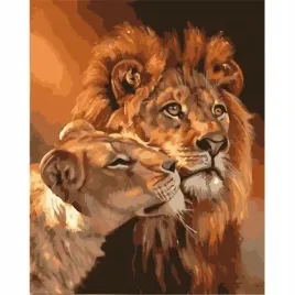 malowanie-po-numerach-40x50cm-lwy