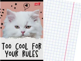 szkolny-zeszyt-a5-kratka-32-kartki-w-kratke-kot-kotek-caturday