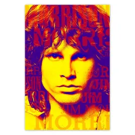 baner-105x155-the-doors