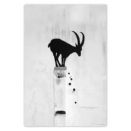 baner-105x155-kozica-banksy-gazela-gorska-brak-prywatnosci-mural