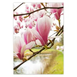 baner-70x100-magnolie-w-poznaniu-kwiat