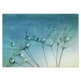 baner-100x70-dmuchawiec-kwiat-kwiatki