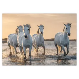 baner-100x70-dzikie-konie-wild-horses