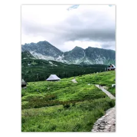 baner-100x135-tatry-hala-gasienicowa