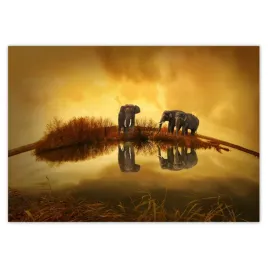 baner-100x70-slonie-przy-wodopoju