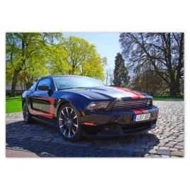 baner-100x70-ford-mustang-z-paskami