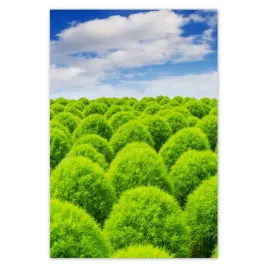 baner-135x200-zielone-spojrzenie-dolina