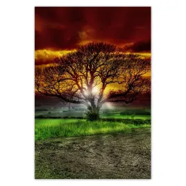 baner-135x200-magiczne-drzewo-krajobraz