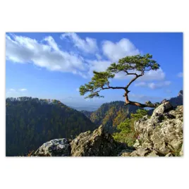 baner-100x70-pejzaze-widoki-krajobrazy