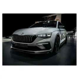 baner-100x70-skoda-samochod-auto