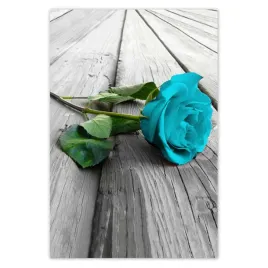 baner-125x185-niebieska-roza-na-deskach