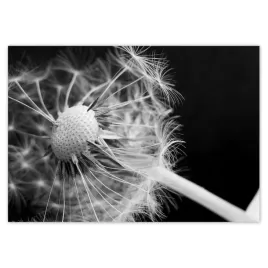 baner-100x70-dmuchawiec-kwiat-kwiatki