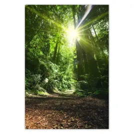 baner-135x200-magiczny-las-krajobraz