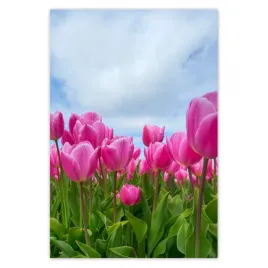 baner-135x200-tulipany-kwiaty-kwiatki