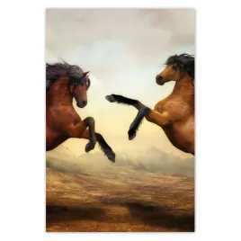 baner-80x120-konie-rumaki