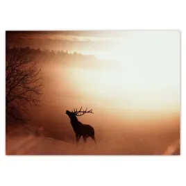 baner-70x50-jelen-na-skraju-lasu