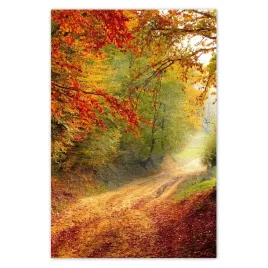 baner-80x120-droga-w-lesie-jesien