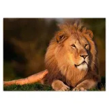 baner-70x50-lew