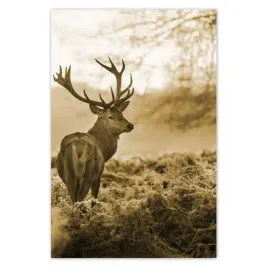 baner-80x120-jelen-w-lesie