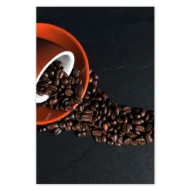 baner-80x120-kawa-kawka-coffee-kaffe