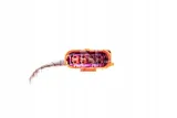 sonda-lambda-denso-dox-1567-numery-katalogowe-zamiennikow-a-z-meisterteile-azmt-40-011-1000-bosch-0-258-986-507-casco-csn38t00gs-casco-csn73tf4as-casco-csn73tf4gs-efi-automotive-301350-eurorepar-e144003-kw-497-180-ntk-97007-nty-esl-uv-001-ridex-3922l0211-sidat-90309-stark-skls-0140383-stellox-20-00007-sx-triscan-8845-29196-wilmink-group-wg1029064-wilmink-group-wg1407683-wilmink-group-wg1461220-wilmink-group-wg2318611-zentparts-z55268