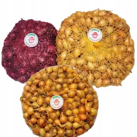 cebula-dymka-zestaw-odmian-do-sadzenia-1kg-na-wiosne-czerwona-2x-zolta