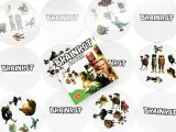 gra-ale-pary-brainrot-czas-rozgrywki-do-15-minut