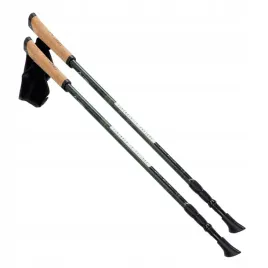 kije-nordic-walking-cliogo