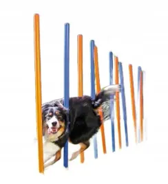 slupki-agility-dla-psa-tyczki-zrecznosciow-tor-przeszkod-trixie-115cm-12szt