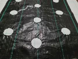 agrotkanina-z-otworami-pod-sadzonki-3-rzedy-80-cm
