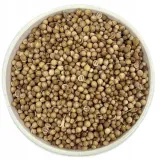 kolendra-ziarno-100g