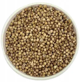 kolendra-ziarno-100g