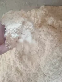 trociny-brzozowe-drobne-swieze-1-kg